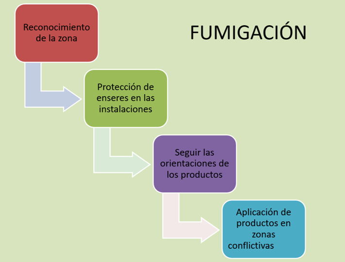 Procesos De Una Empresa De Fumigacion